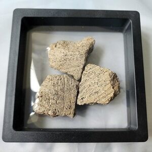 Ancient Pre‎ Colombian Pottery Shards Historical Artifacts Collection Detailed